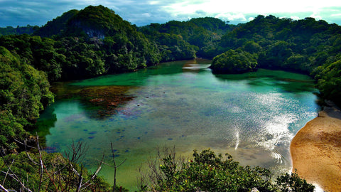 Pulau Sempu