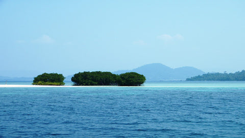 Teluk Lampung